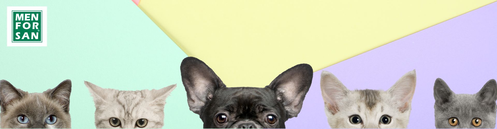 COSMÉTICOS NATURALES image